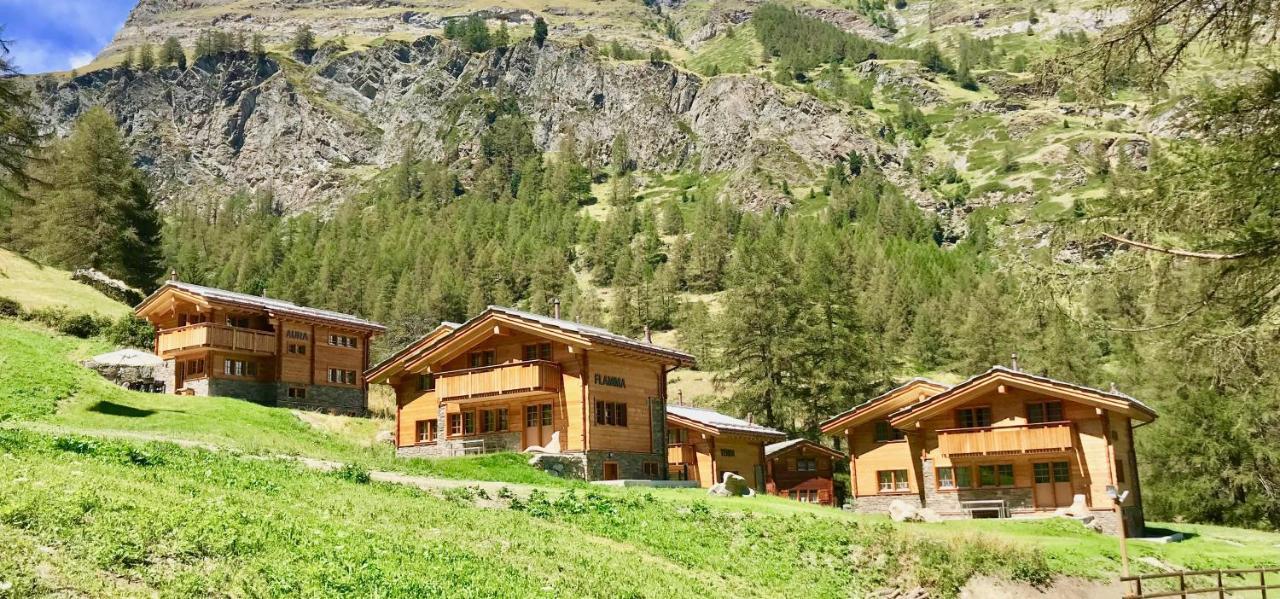 Element Chalets Zermatt Exterior photo